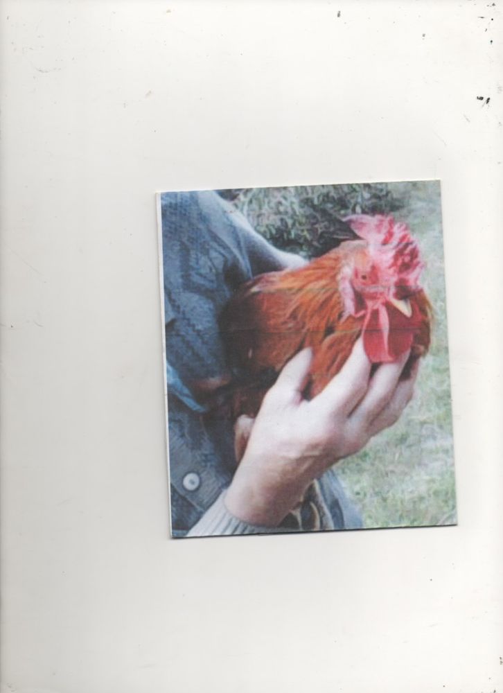 Pour la { BONNE Sant&eacute; } de mes animaux 0 49700 Louerre