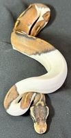 Femelle python regius 300 32000 Auch