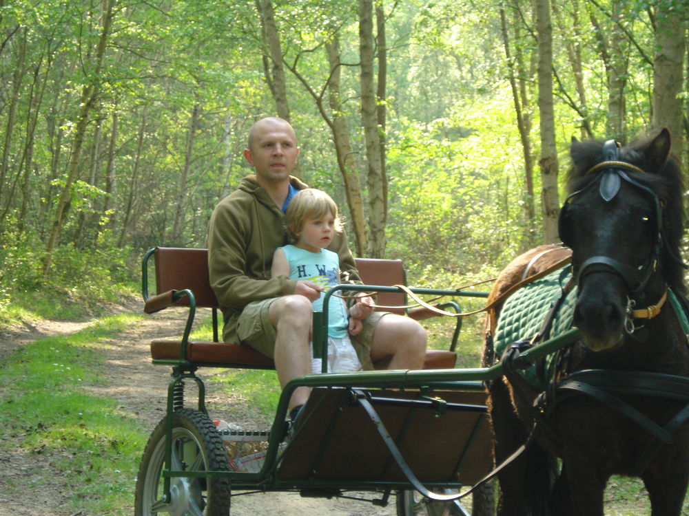 CARIOLE attelage poney 900 14600 Honfleur