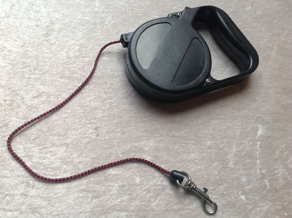 LAISSE R&Eacute;TRACTABLE CORDON FLEXI BOUTON BLOQUANT Envoi Possib 7 29910 Tr�gunc