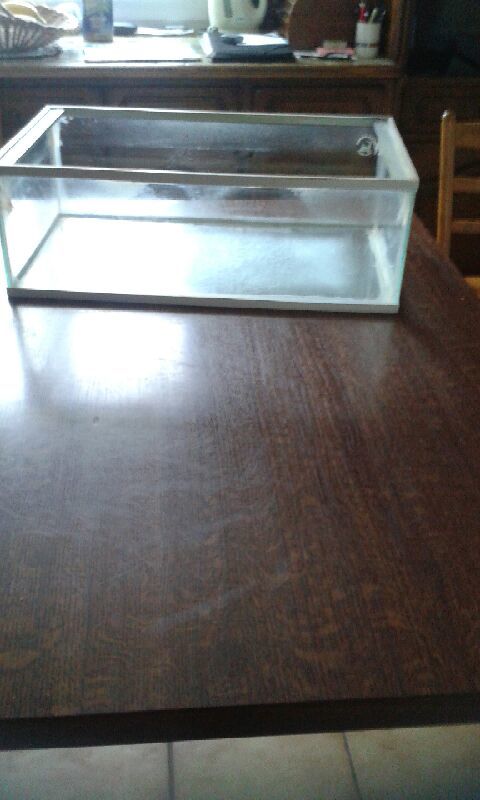 Aquarium pour poissons ou tortue
45 35000 Rennes