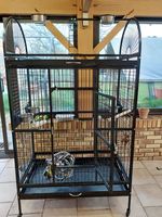 2 cage à perroquet  xxl
150 79160 Saint-pompain