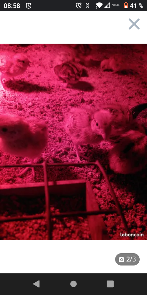 Cailles 5 07610 S�cheras