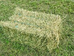 foin luzerne sain foin ray grass 1 26130 Saint-paul-trois-ch�teaux