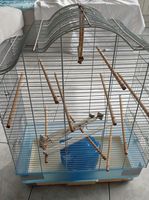 Cage oiseaux avec accessoires - descriptif et photos 5 59223 Roncq