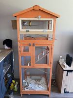Couple de perruches inséparables avec cage aménagée 180 40100 Dax