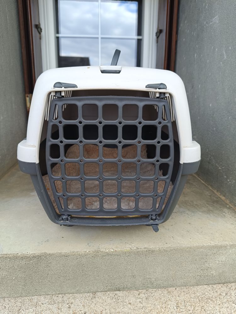 cage pour chat ou petit chien 15 86540 Thur�