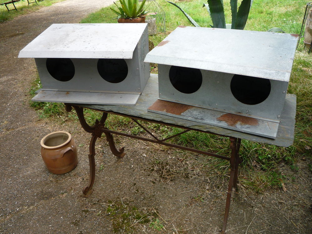 Nichoir pigeonnier / pigeon / oiseaux
30 81100 Castres