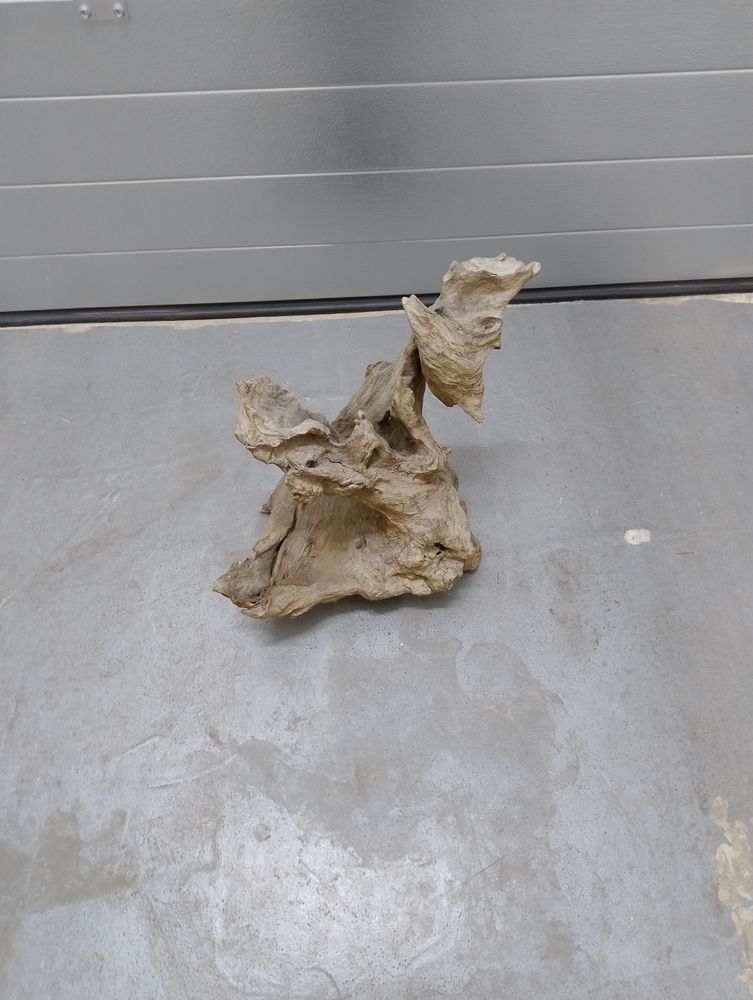 Racine de Malaisie 20 75015 Paris