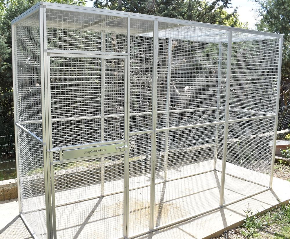 R&eacute;cup&egrave;re tout oiseau et mat&eacute;riel 0 01350 Culoz