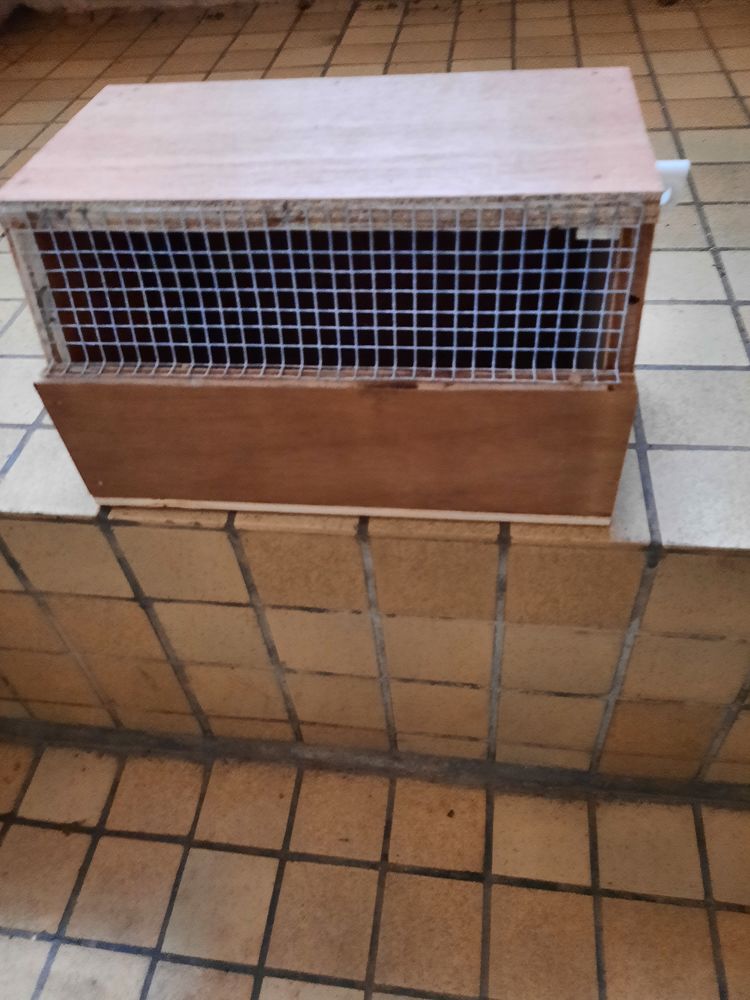 Petites cages de transport 3 59670 Bavinchove