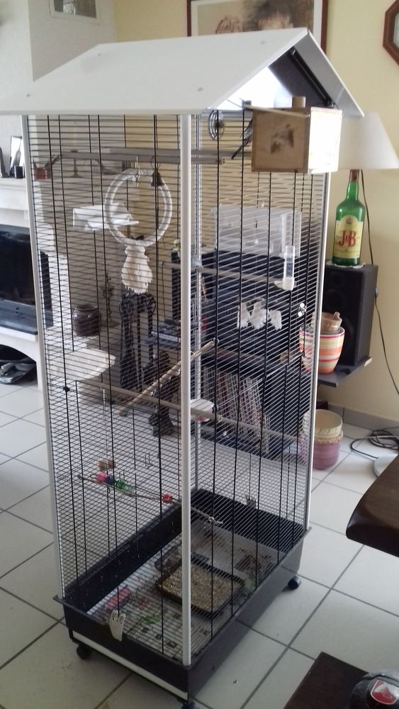 Cage pour perruches ondul&eacute;es, canaris, ins&eacute;parables...
100 33140 Villenave-d'ornon