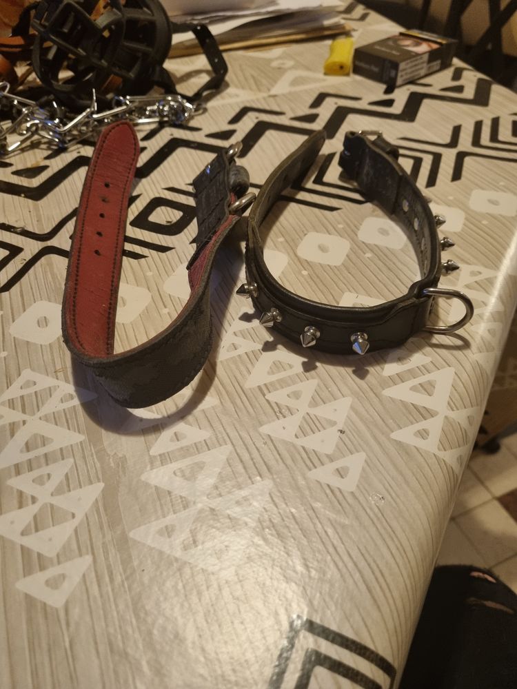 Museli&egrave;re en cuir et collier 25 80880 Saint-quentin-la-motte-croix-au-bailly