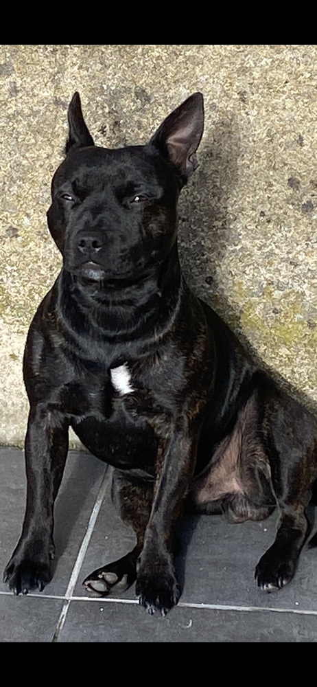 Saillie 200 72000 Le mans