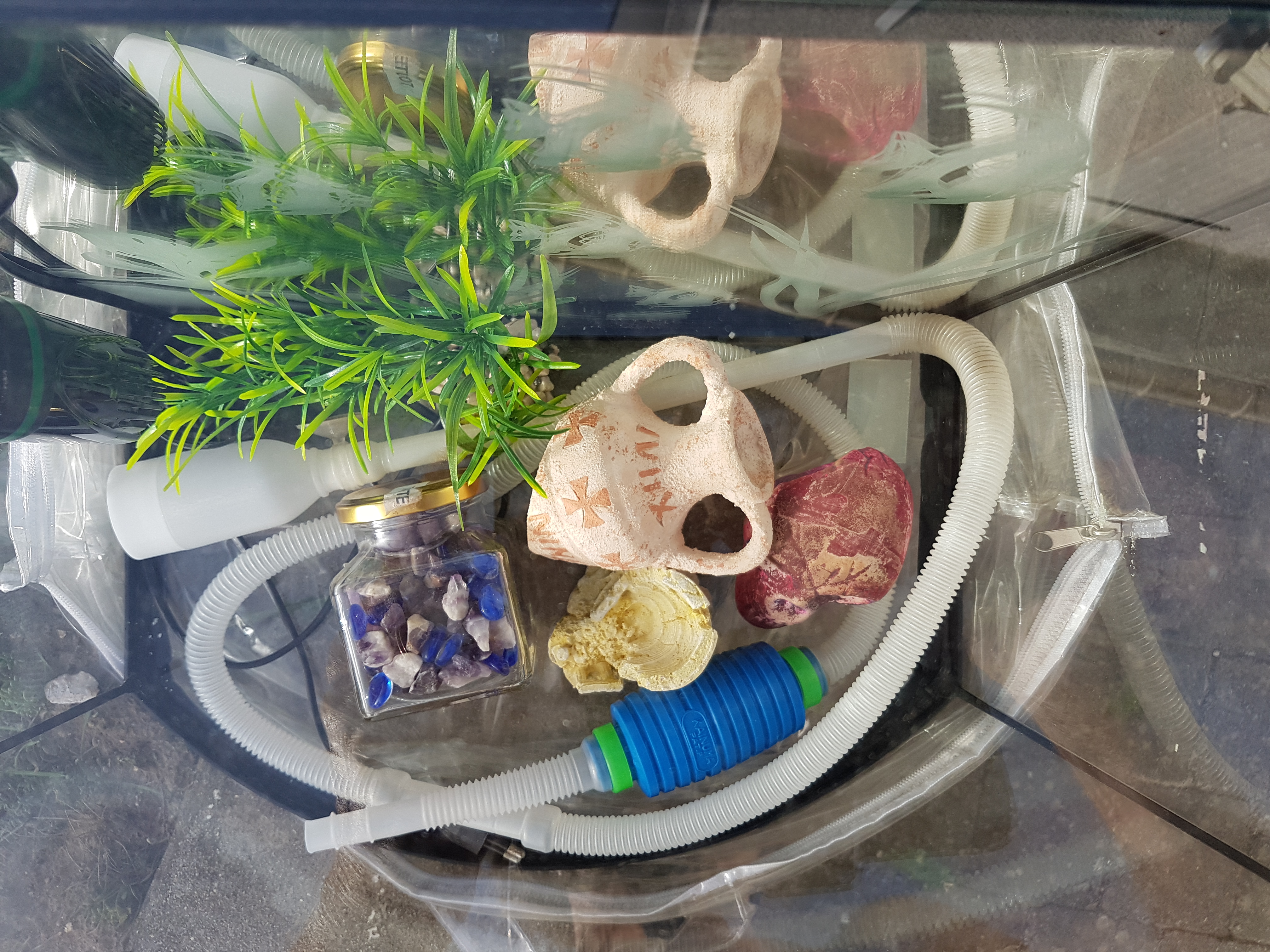 Aquarium &eacute;quip&eacute; et accessoiris&eacute; 30 91640 Briis-sous-forges