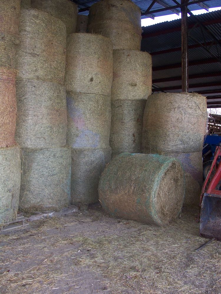 foin  balle  ronde 95 66320 Rod�s