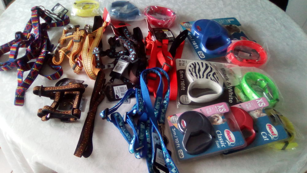 C&egrave;de ensembles collier + laisse 15 38100 Grenoble