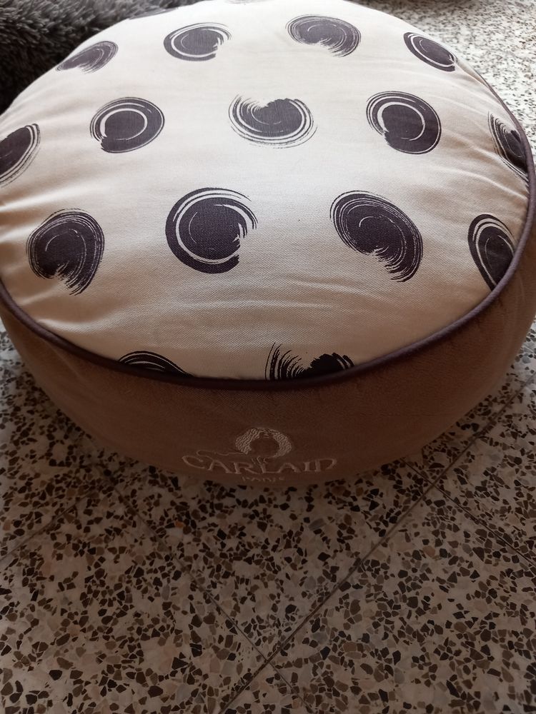 Pouf pour chien 30 62470 Calonne-ricouart