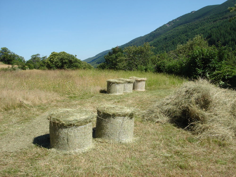 Foin des C&eacute;vennes 10 30000 N�mes