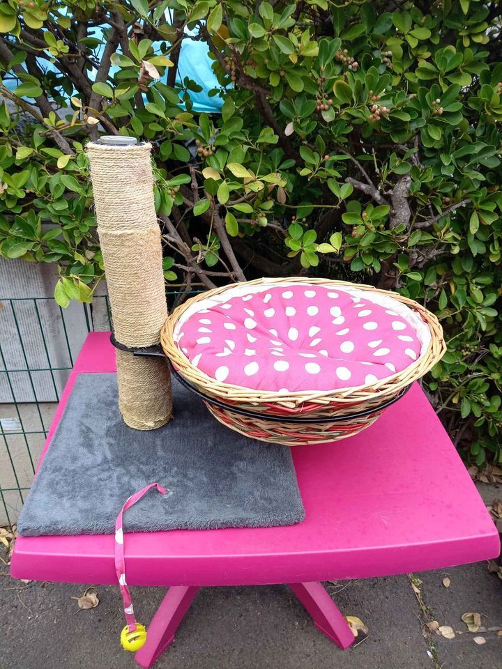 adorable arbre &agrave; chat avec panier en osier et jouets 15 34300 Agde