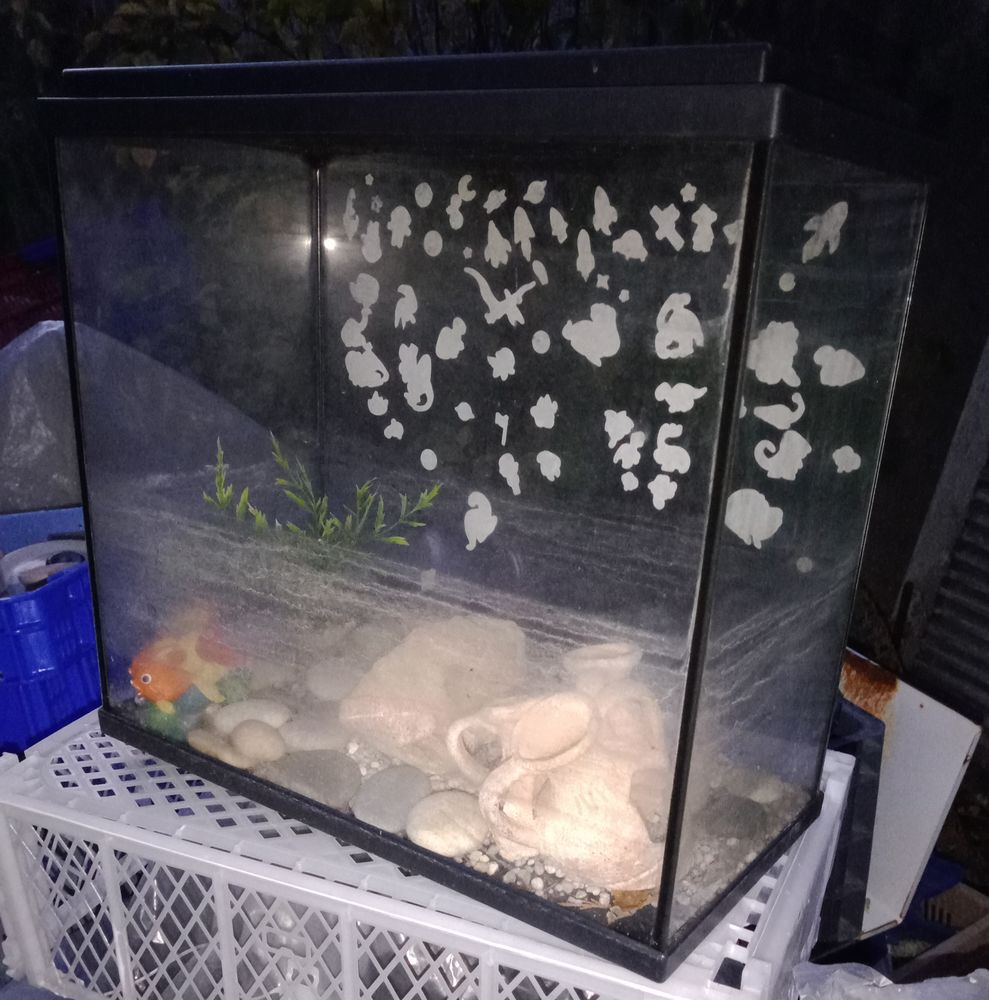 aquarium avec accessoires 20 95250 Beauchamp