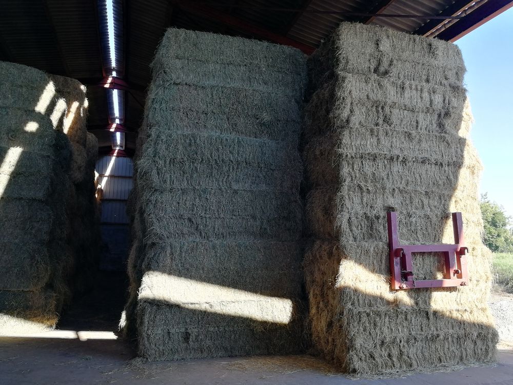 Foin de marais 80 85300 Challans