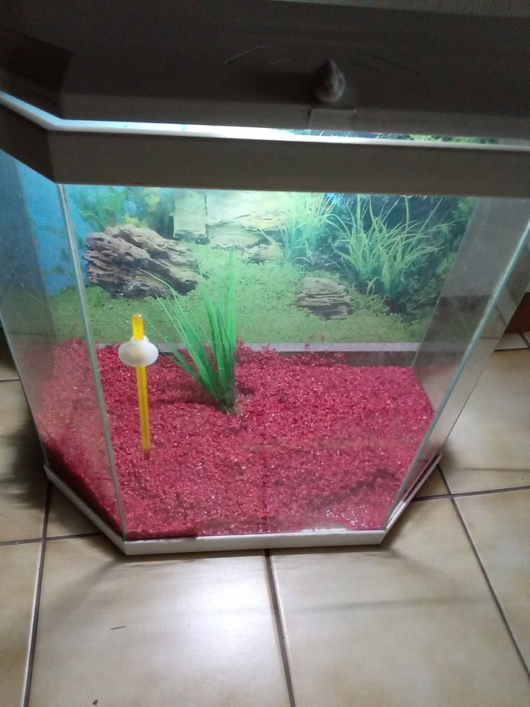 Aquarium 30 68200 Mulhouse