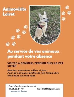 garde d'animaux de compagnie 20 45510 Vannes-sur-cosson