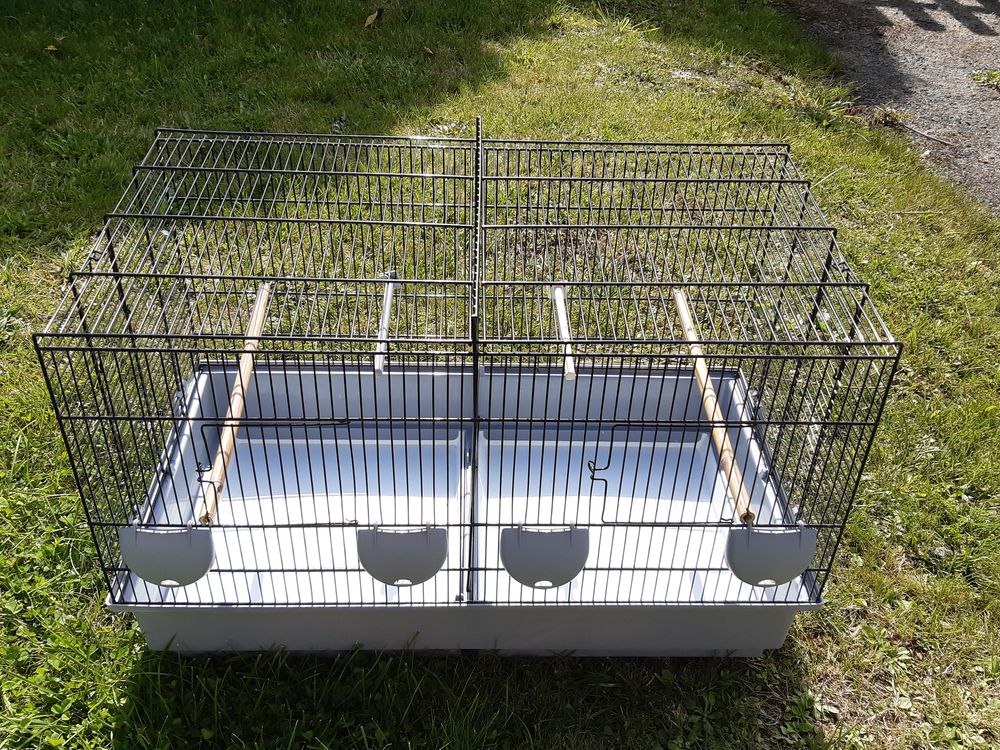 cages oiseaux 30 29280 Plouzan�