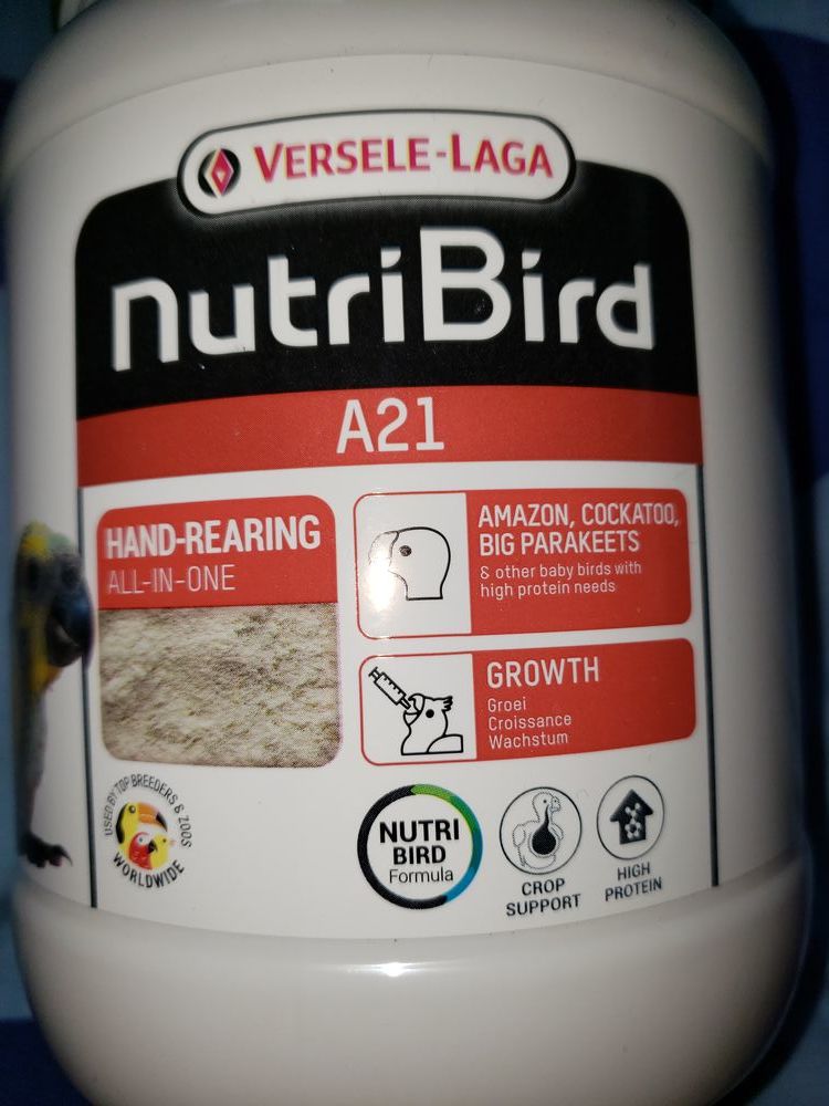 Nutriment b&eacute;b&eacute; perroquet 14 59320 Haubourdin