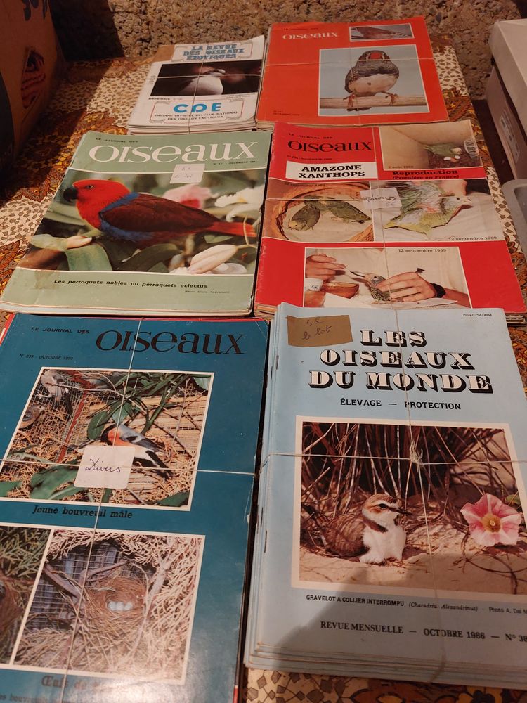 Revue sur les oiseaux 5 59670 Bavinchove