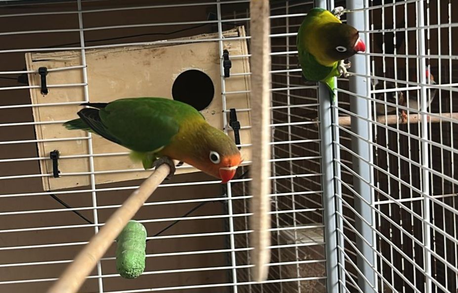 Ins&eacute;parables Fischer 30 06330 Roquefort-les-pins