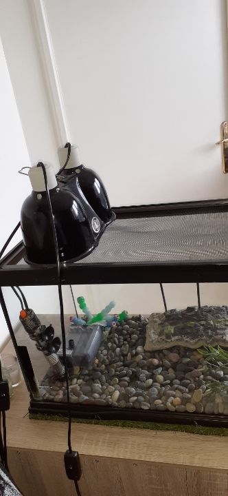 Lot de 5 articles grand aquarium  avec  tout &eacute;quipements 150 91170 Viry-ch�tillon