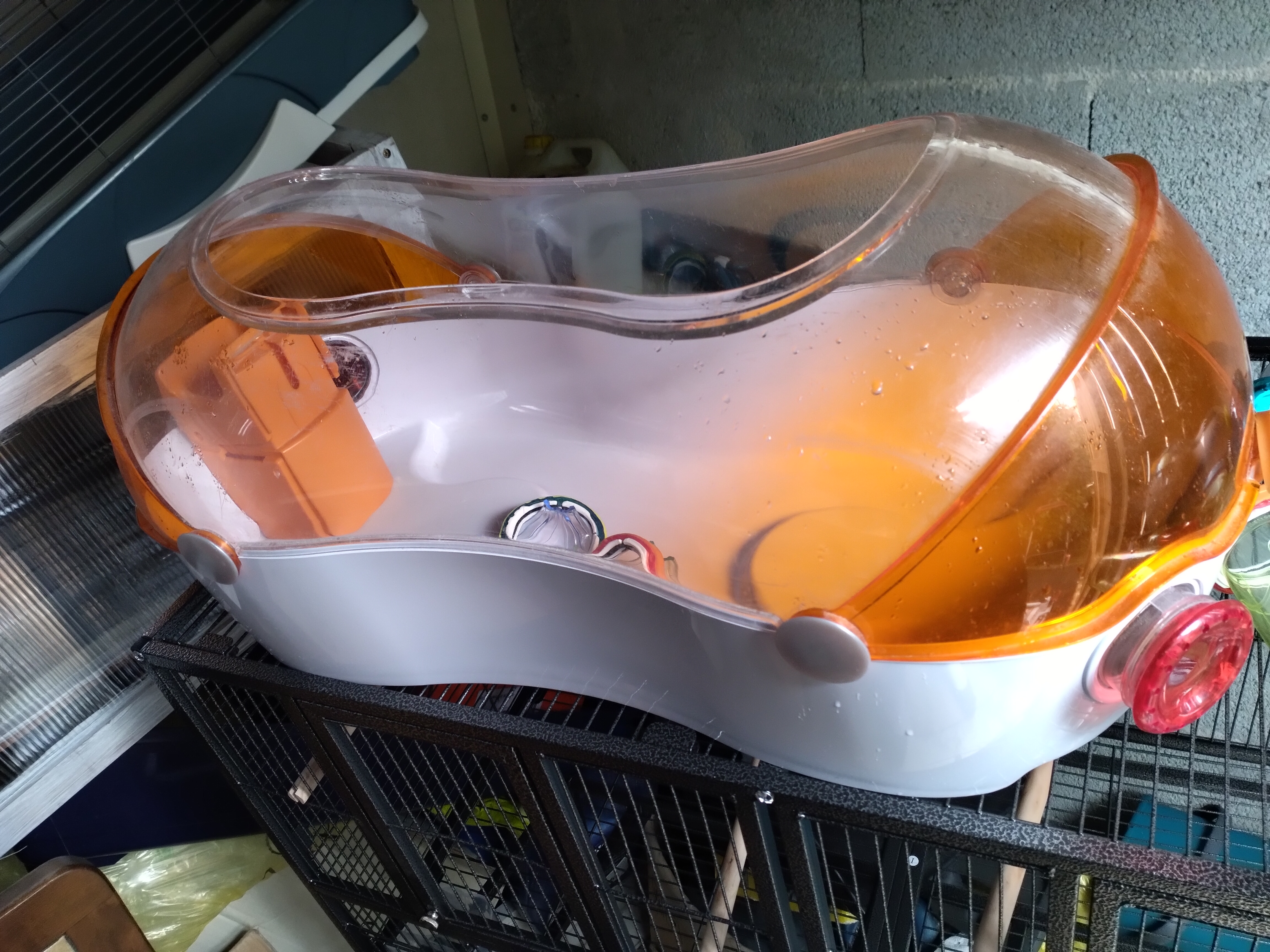 Cage ovo hamster 30 17610 Chaniers