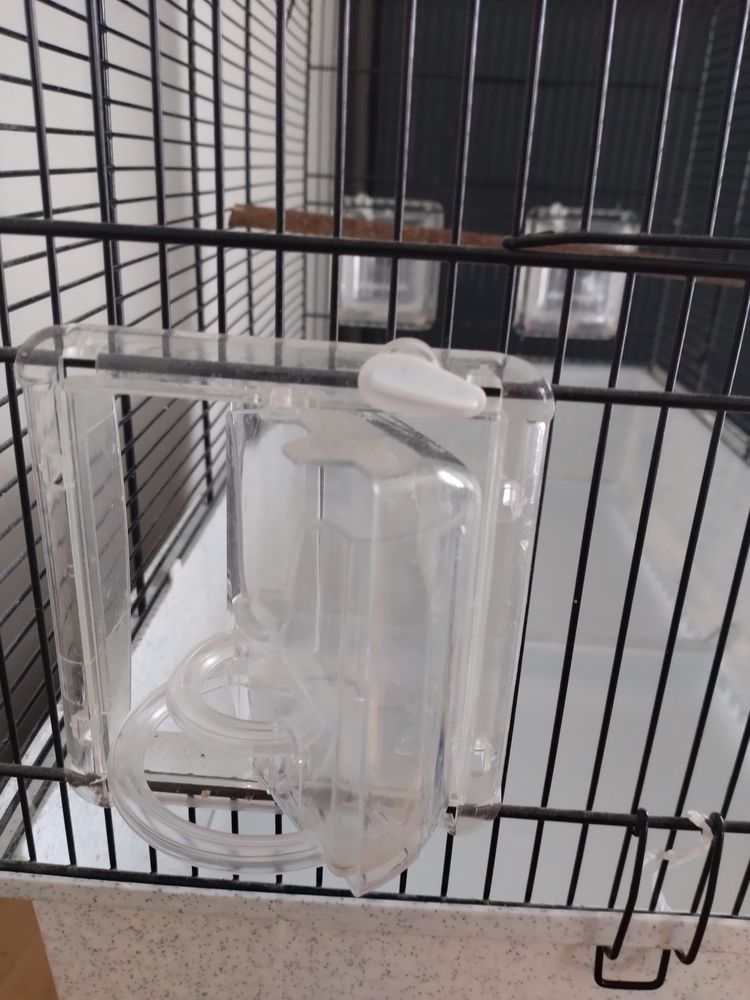 Cage oiseaux Canto 60 17610 Chaniers