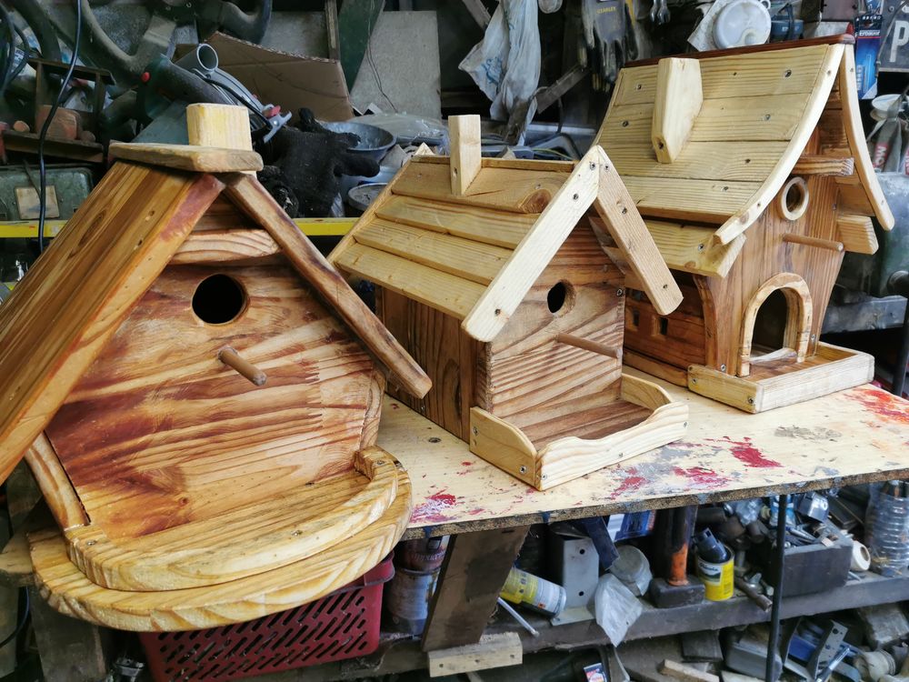 oiseaux mangeoire 10 62172 Bouvigny-boyeffles