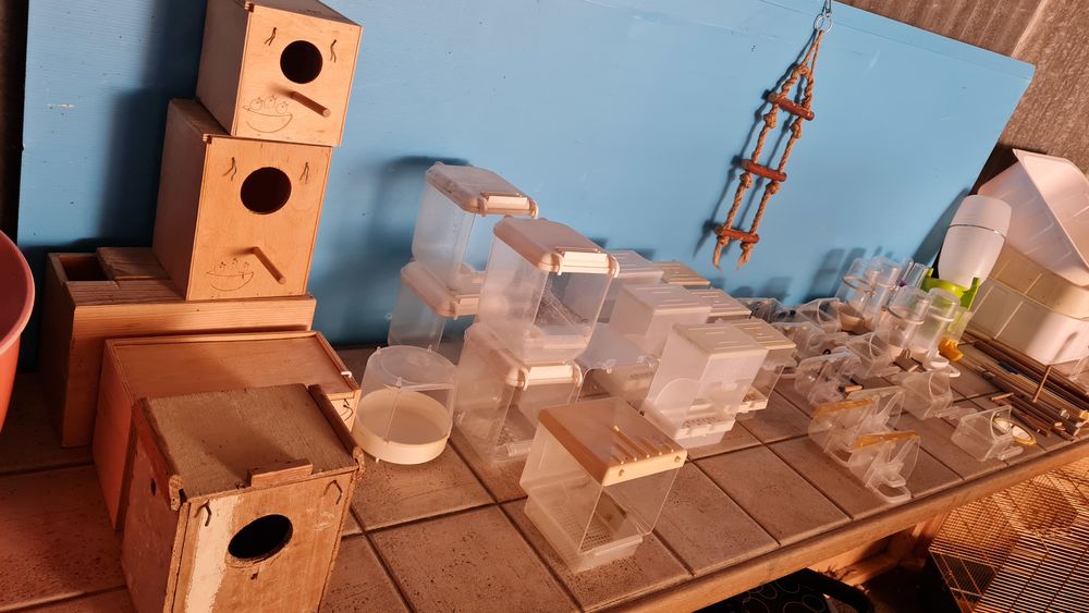 Accessoires pour oiseaux 1 44850 Mouzeil