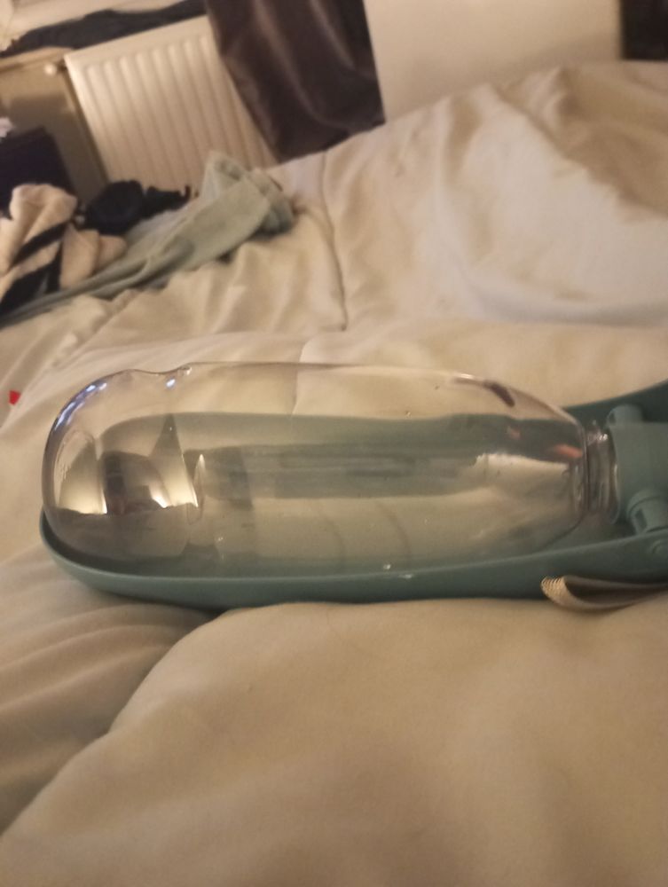 Gourde pour chien 13 67300 Schiltigheim