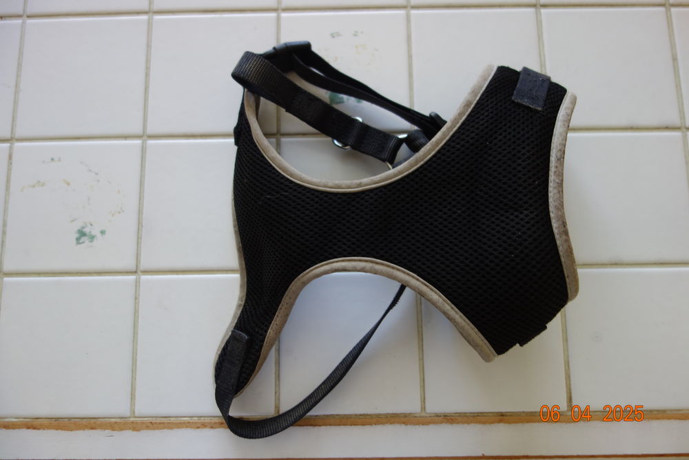 Harnais pour chien 20 78130 Les mureaux