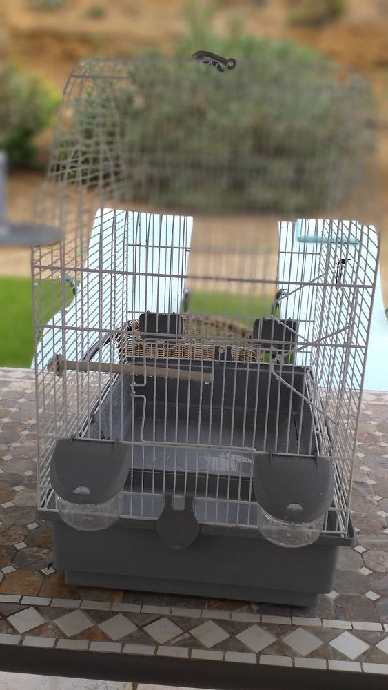 Cede tr&egrave;s belle cage blanche et grise pour oiseaux 50 30290 Laudun-l'ardoise