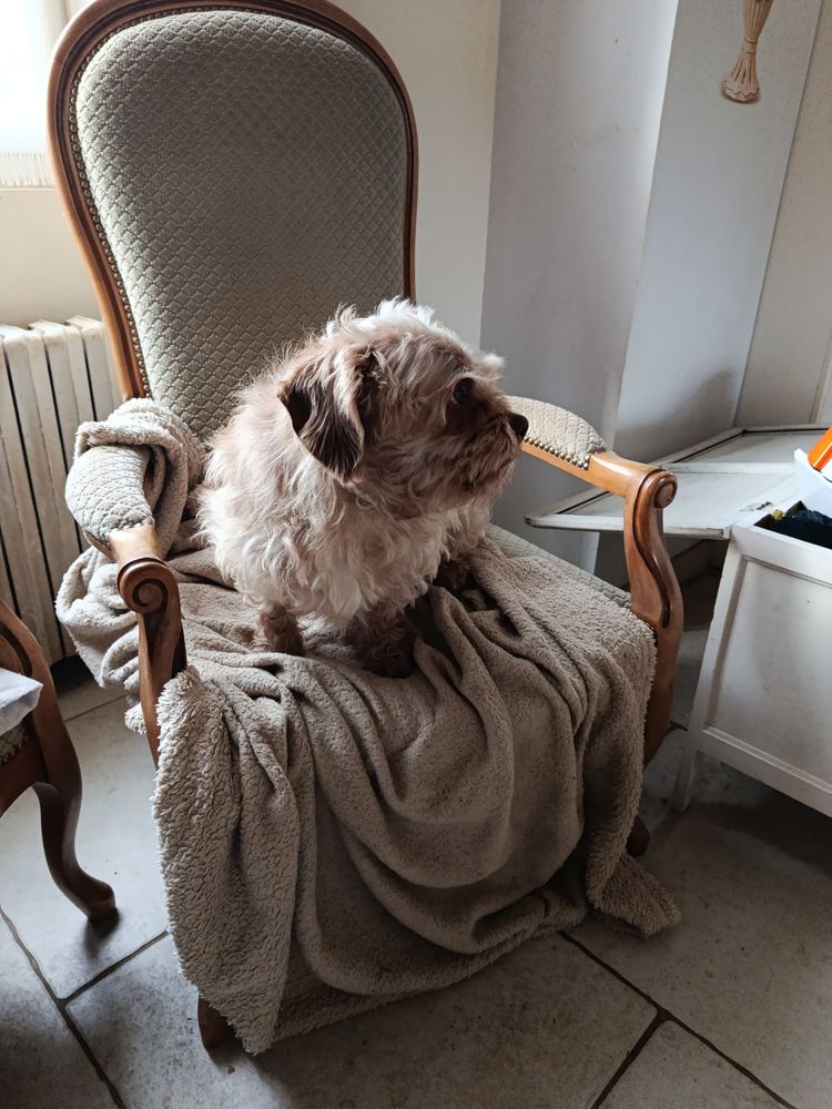 Garde 12 14700 Falaise