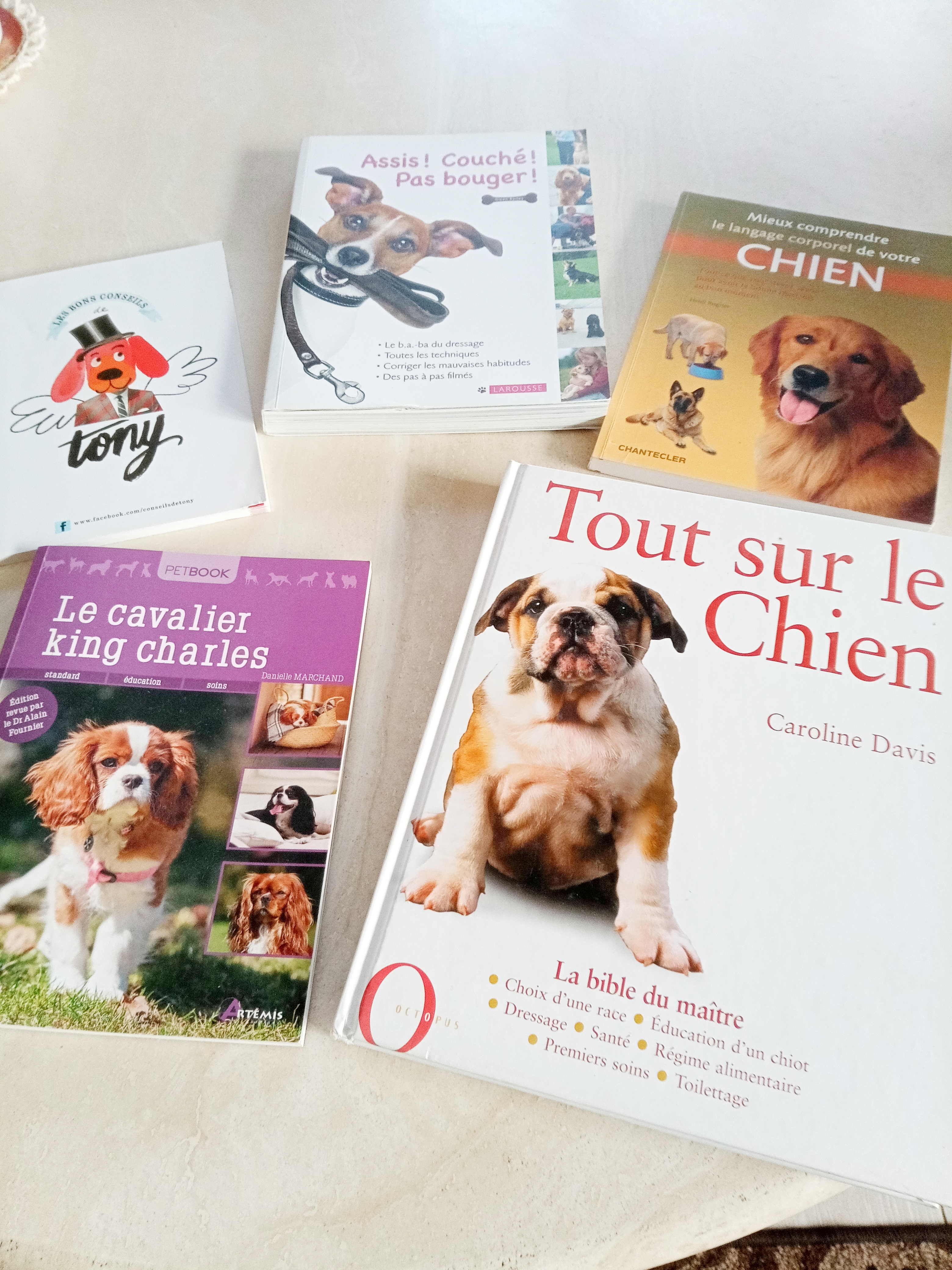 LIVRES SUR LES CHIENS 10 35730 Pleurtuit