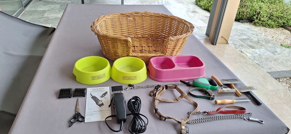 Panier et accessoires pour chien 19 85160 Saint-jean-de-monts