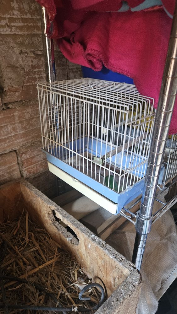Petite Cage oiseaux 26x27x17 10 13480 Cabri�s