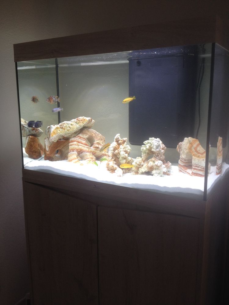 cychlides 20 34110 Frontignan