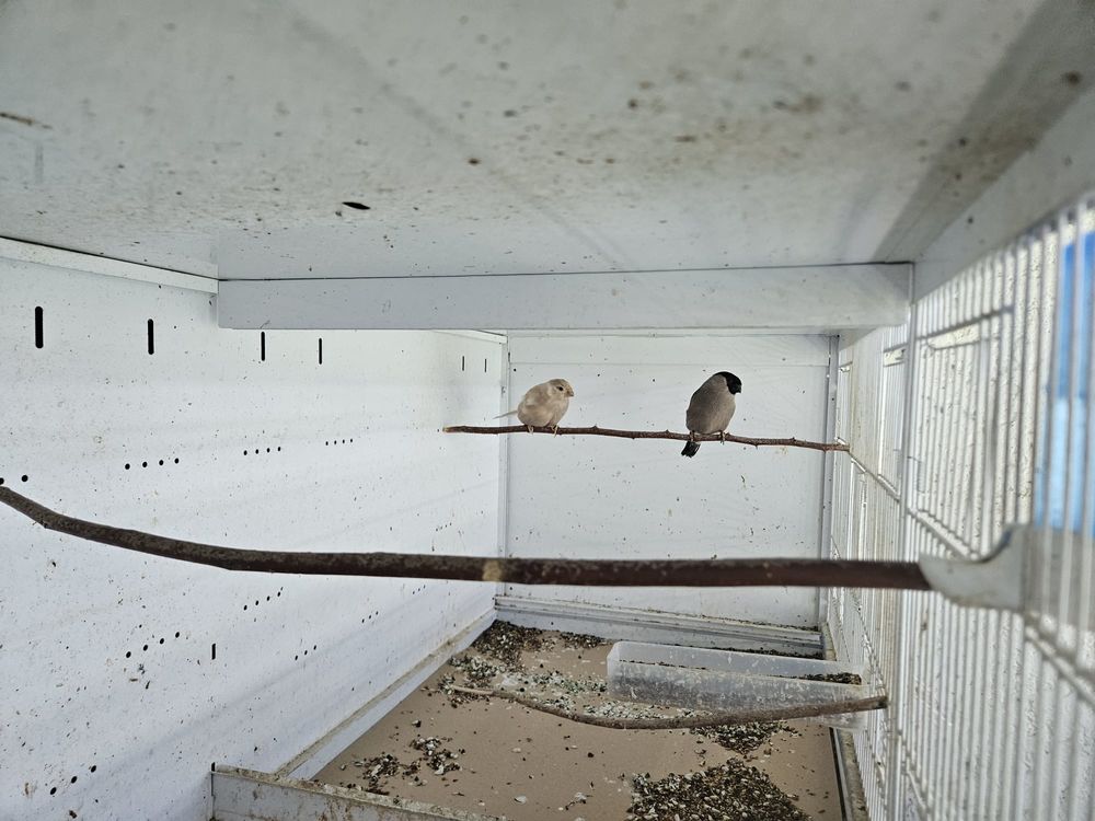 divers exotiques 0 74380 Nangy