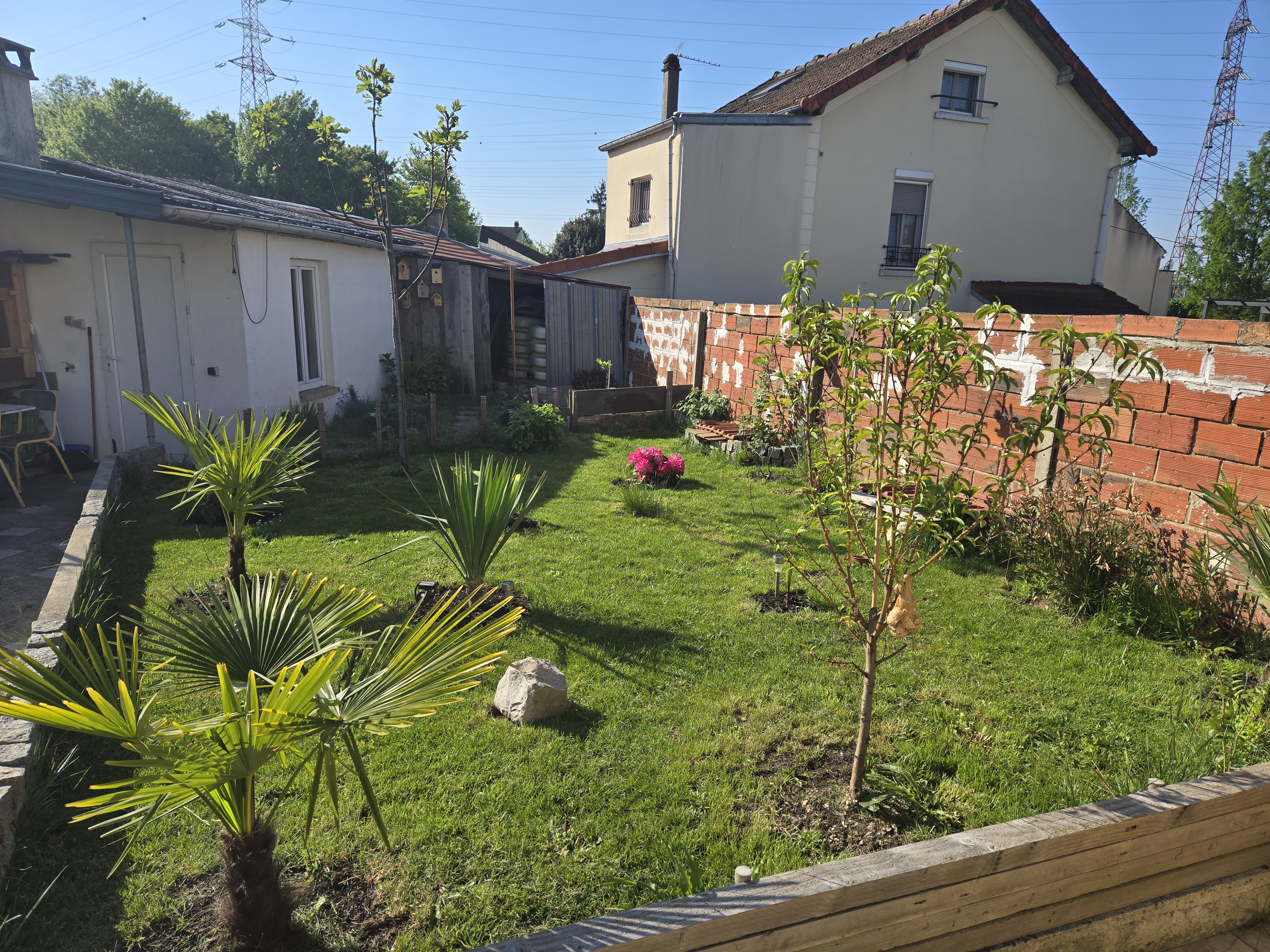 Acceuil C.B.Soins tortue adulte,75..77 50 93800 �pinay-sur-seine