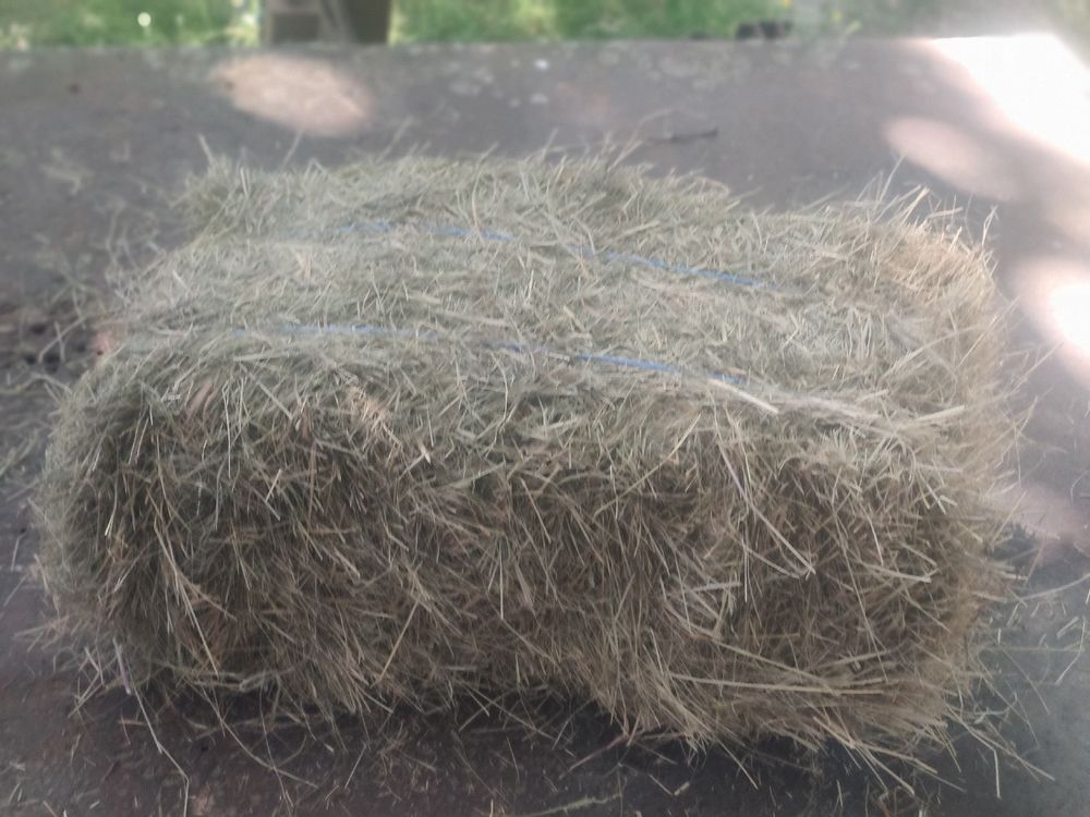 Petite botte de foin 3 82210 Castelmayran