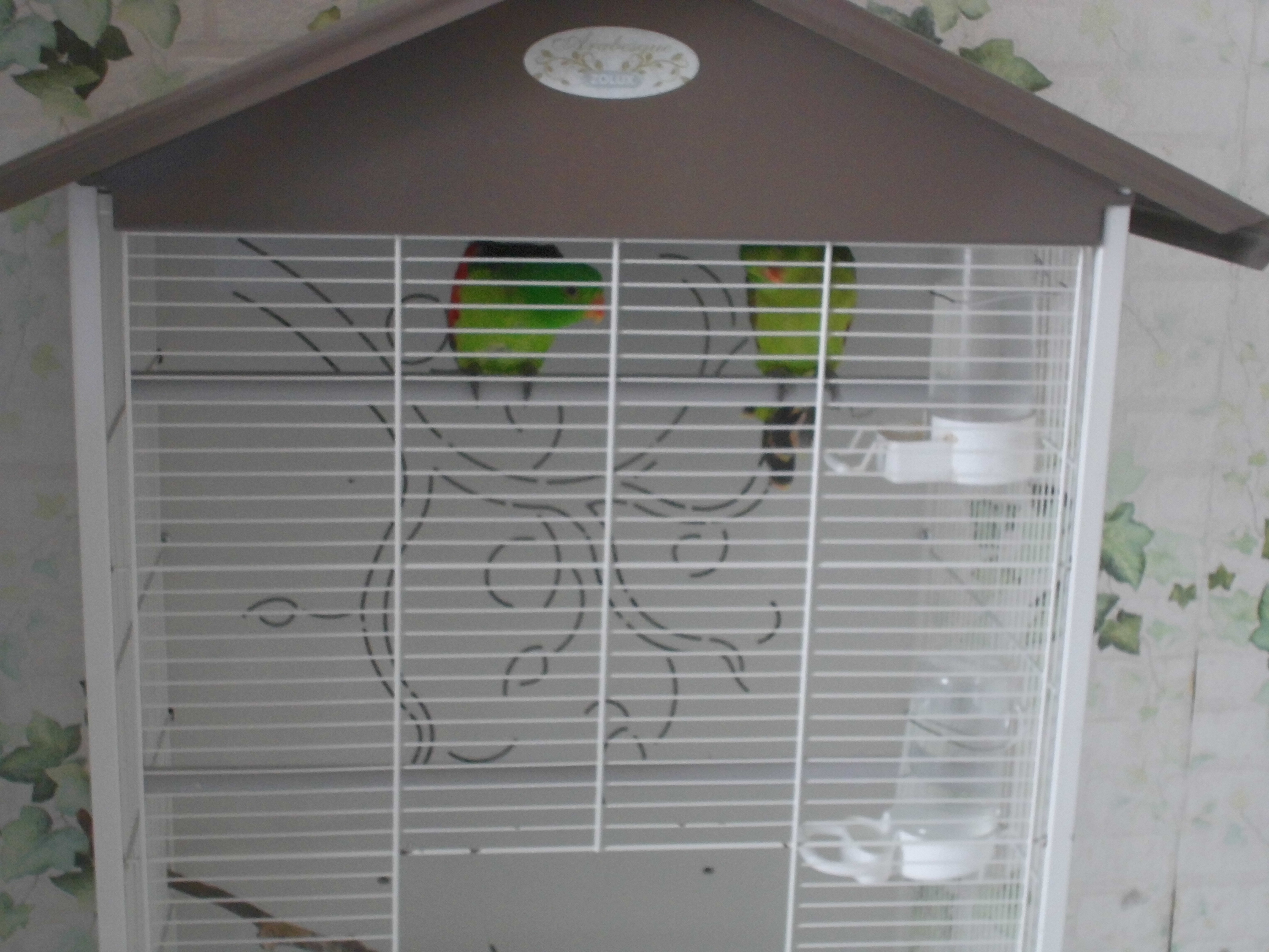 &eacute;change voli&egrave;re oiseaux 0 13140 Miramas