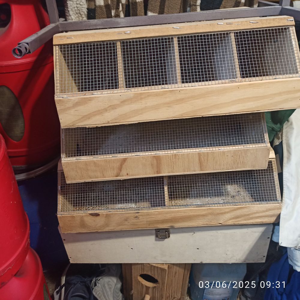 Boite de transport 25 77400 Saint-thibault-des-vignes